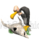illustration - vulture_snacking_md_wht-gif